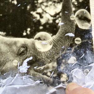 Bildtransfer & Mixed Media